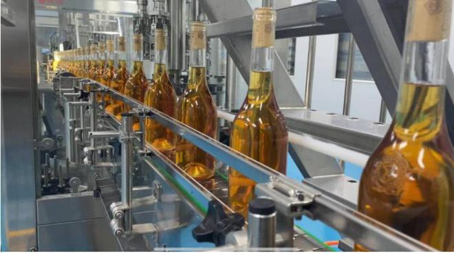 青島紫斐:匠心筑夢(mèng),打造藍(lán)莓酒界的中國(guó)&ldquo;拉菲&rdquo;