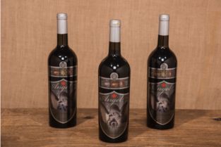 天使藍(lán)莓,在歲月里沉淀愛(ài)意