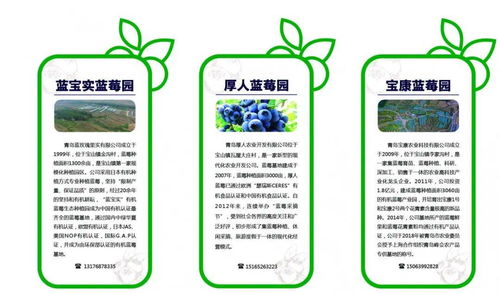 青島市唯一入選 新區(qū)寶山鎮(zhèn)獲第十批全國 一村一品 示范村鎮(zhèn)