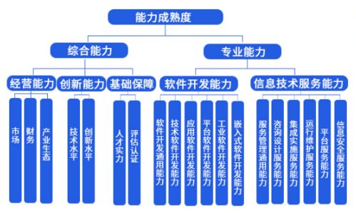 中科大旗榮獲成都市信息技術(shù)咨詢服務(wù)能力成熟度三級認(rèn)證